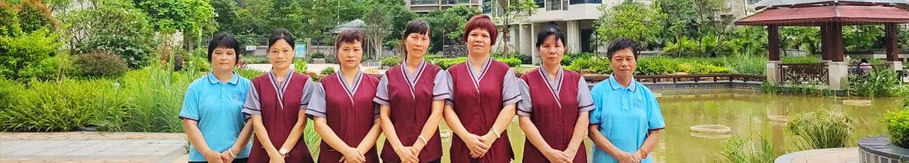 专业服务页面